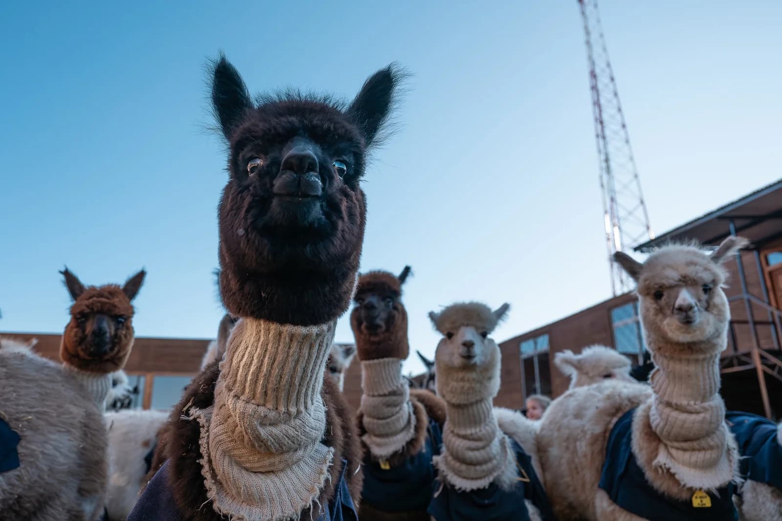 Nature & Adventure in Central Chile: Parks, Hot Springs & Wildlife