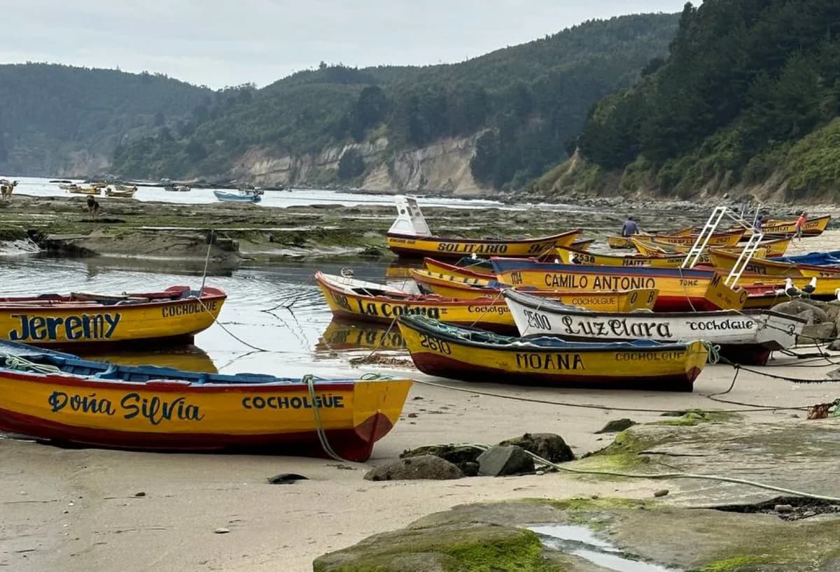 Dark volcanic sand at Cochelue Beach with rock formations and forest