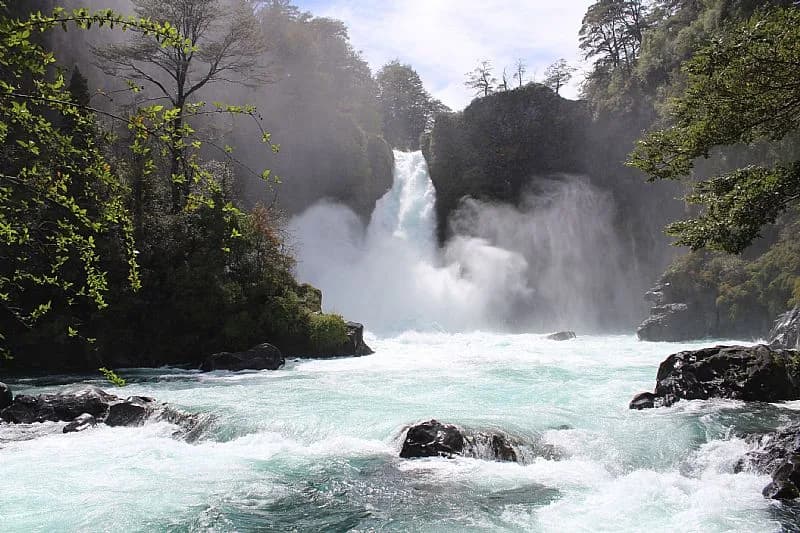 Huilo Huilo — Un bosque que casi se convierte en madera