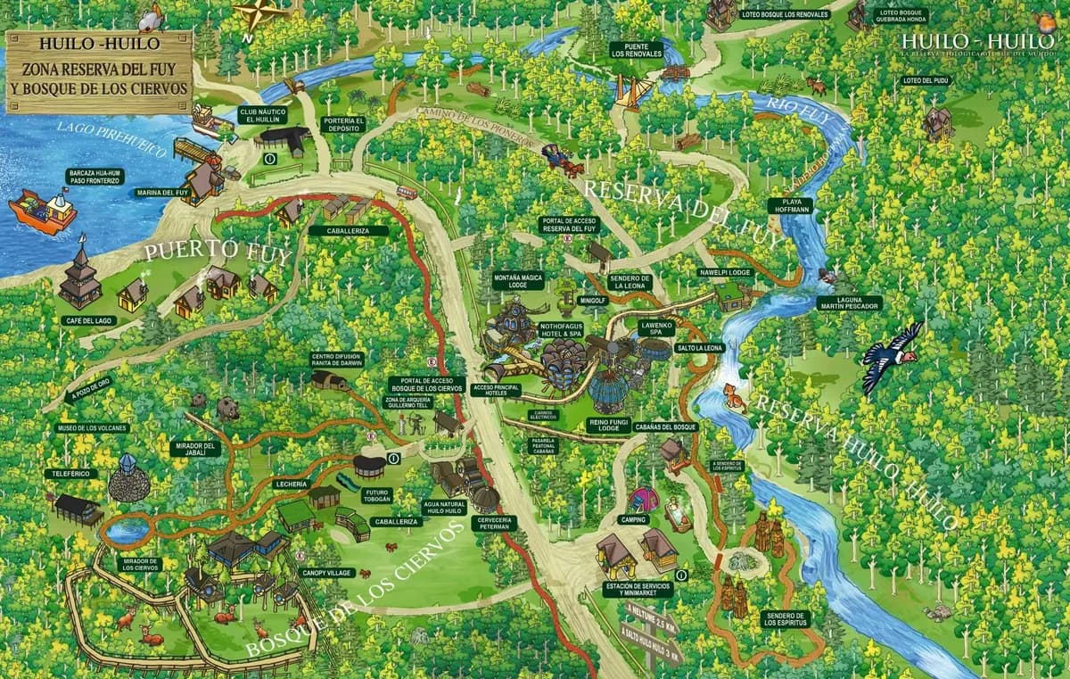 Dosel del bosque valdiviano en la Reserva Biológica Huilo Huilo