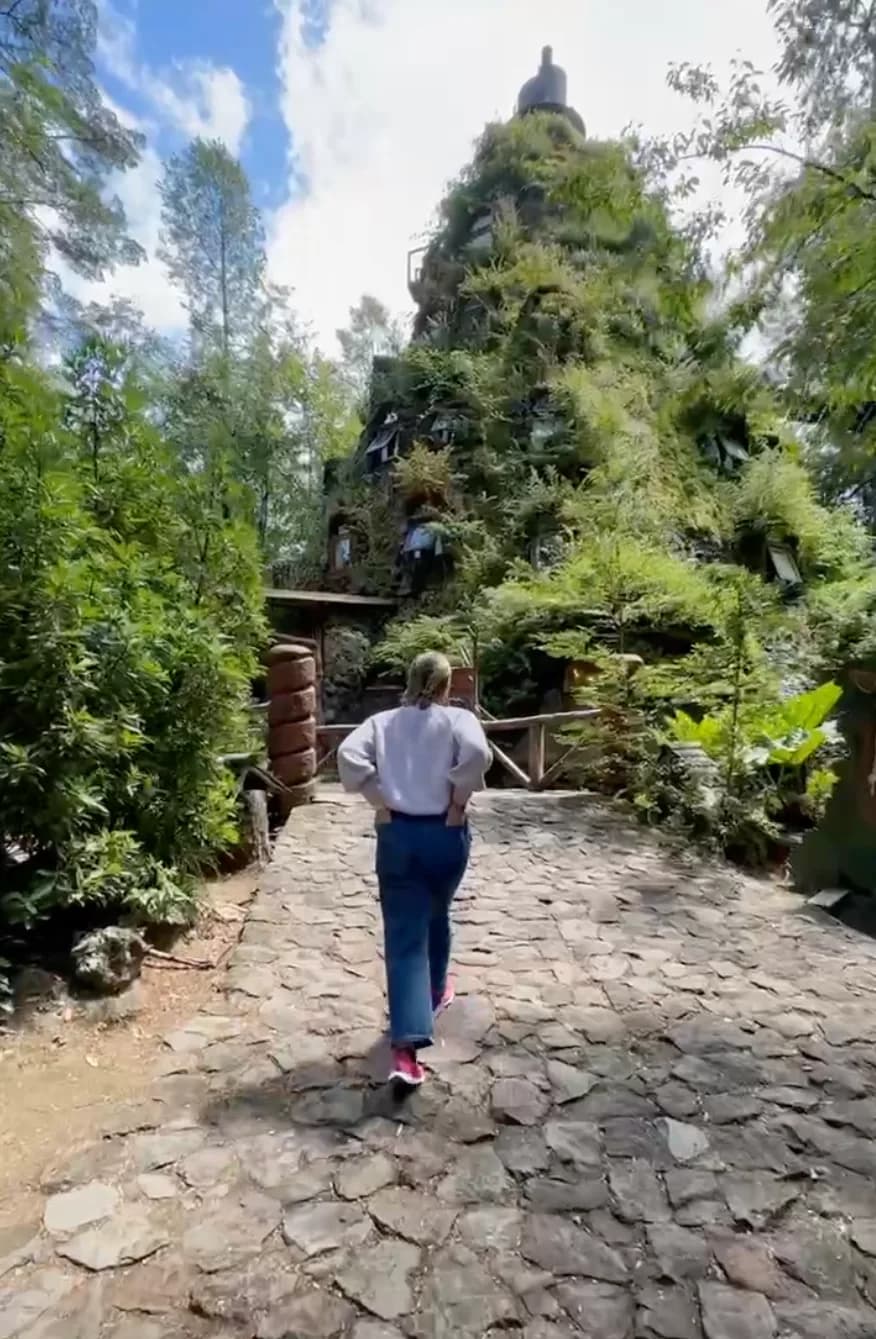 Reserva Huilo Huilo — ecosistema