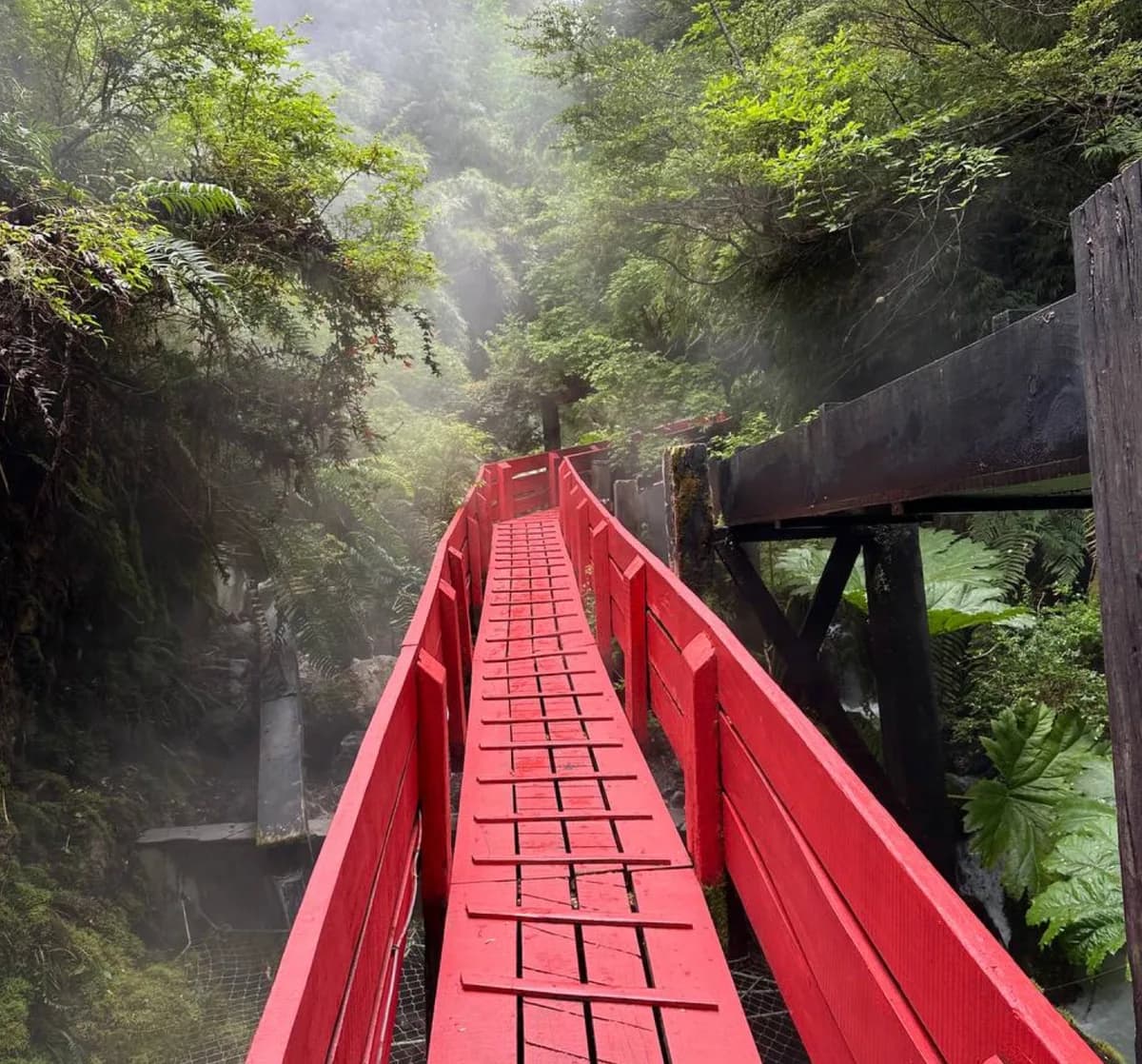 Passerelles en bois rouge des Termas Geométricas serpentant dans le ravin forestier
