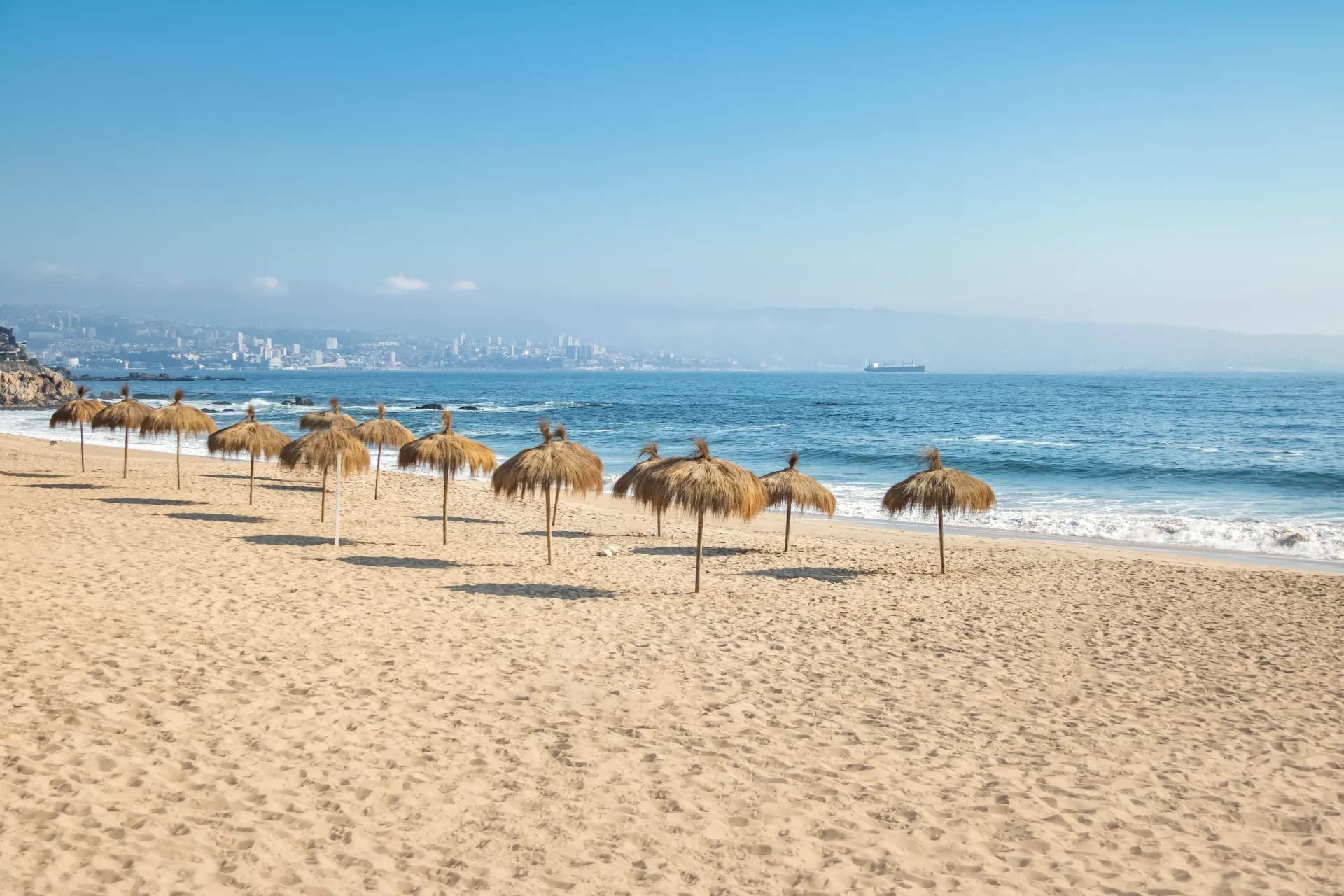 Viña del Mar y costa — Ciudad jardín, playas de surf y capital del marisco