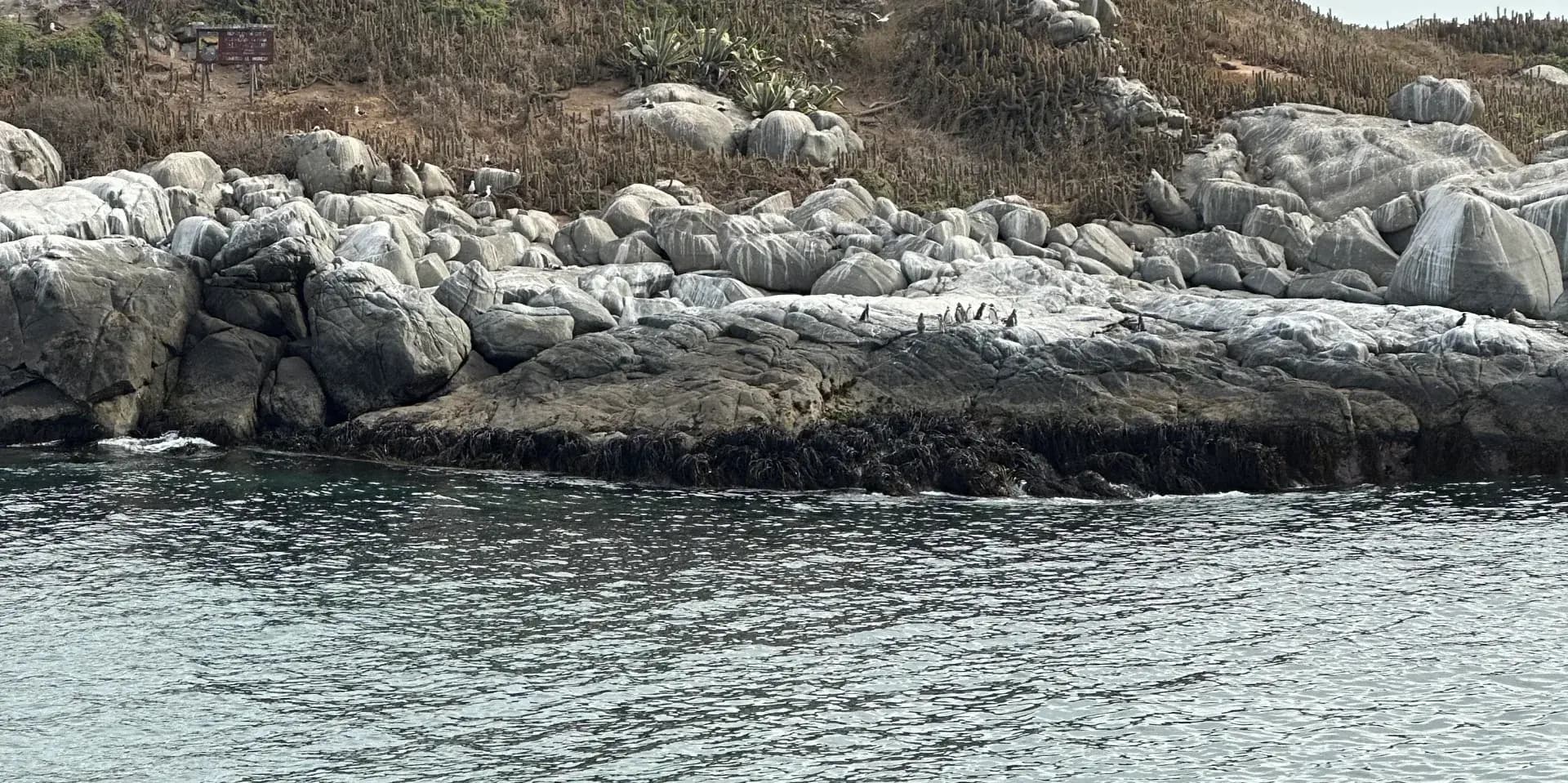 Paseo costero Zapallar — Sendero costero y playas escondidas